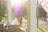 A sunlit guesthouse porch with wooden chairs surrounded by blooming flowers.