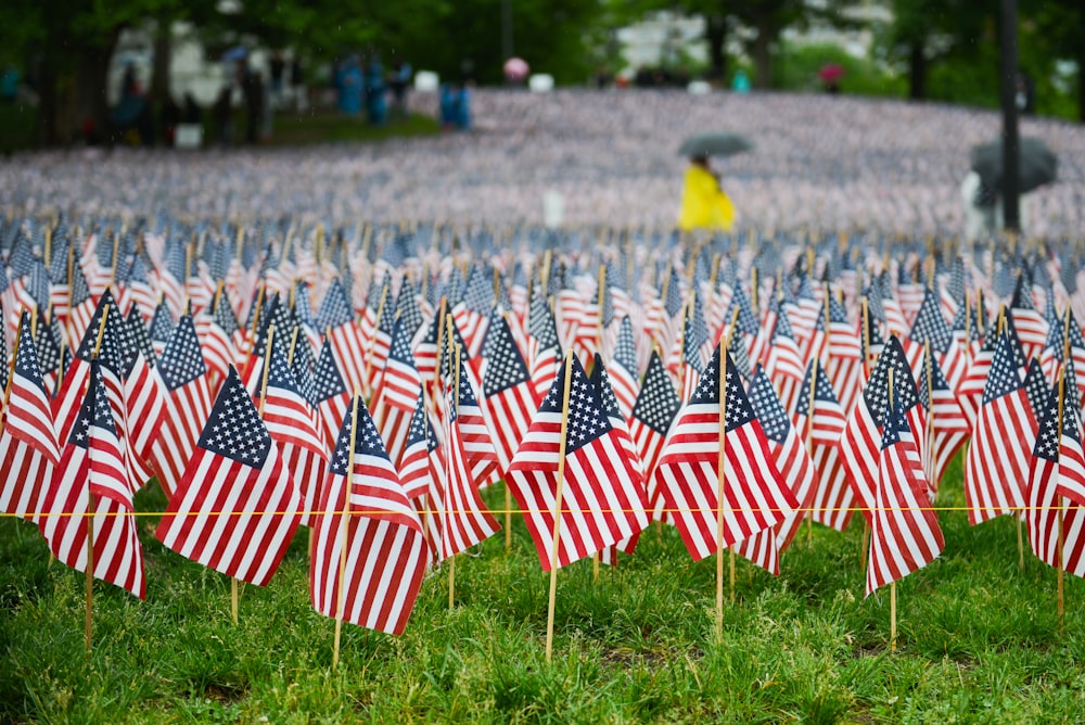 flag of America lot