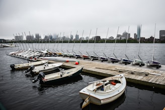 white motorboats on dock during daytime