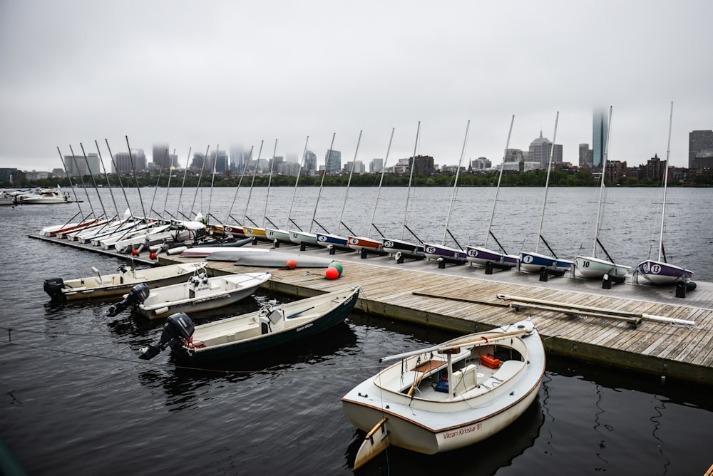 white motorboats on dock during daytime