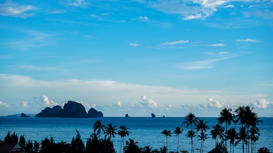silhouette photo of palm tree near large body of water under blue sky during daytime in Ao Nang Thailand