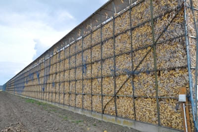 A large, industrial structure filled with countless ears of corn, stacked within a metal grid frame. The structure is situated next to a plowed field under a cloudy sky, indicating an agricultural setting.