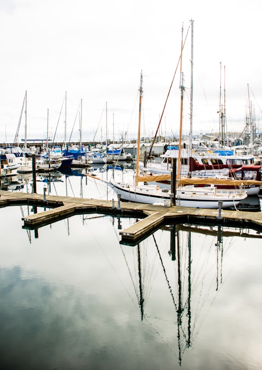 boats parking at dock in Port Angeles United States