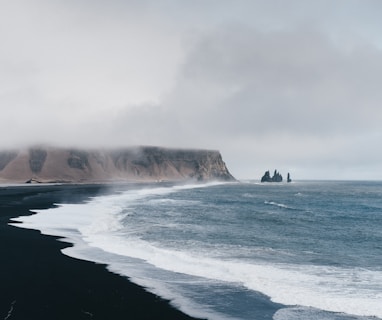 black sand near body of water under the cloudy sky during daytime