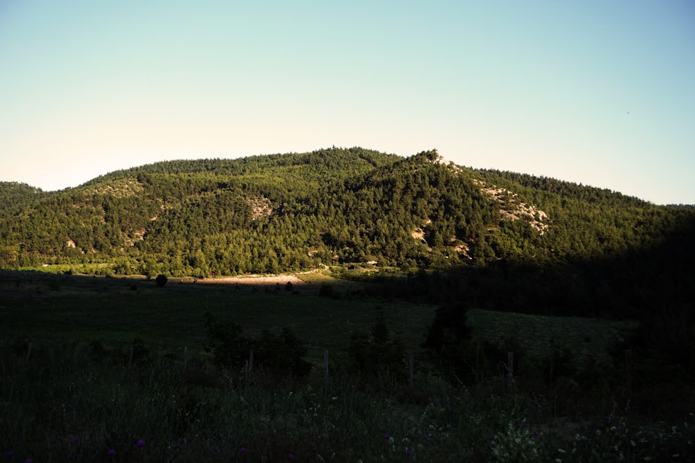 landscape photography of mountain