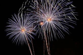 fireworks