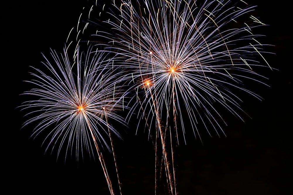 fogos de artifício