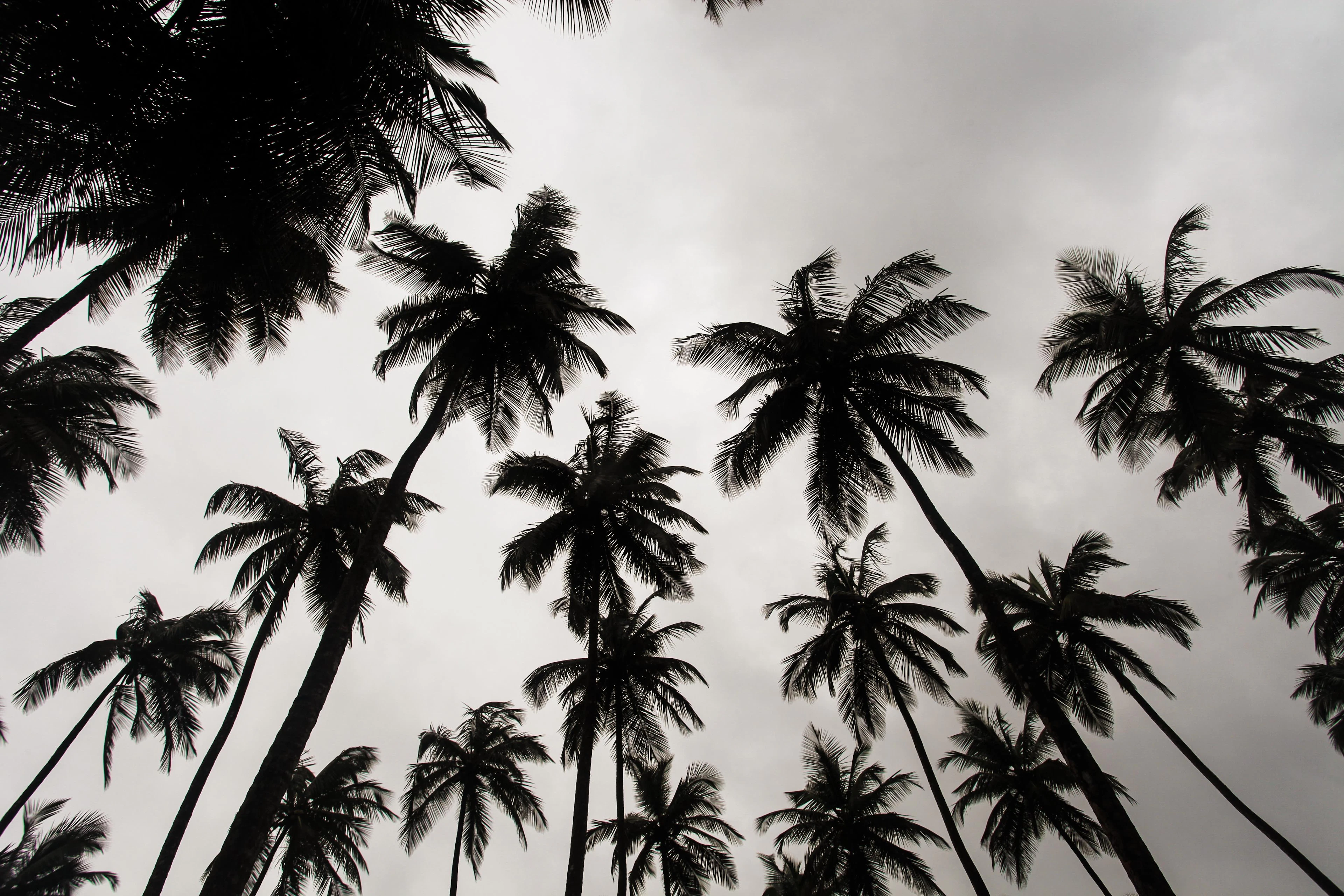 Liberia landscape