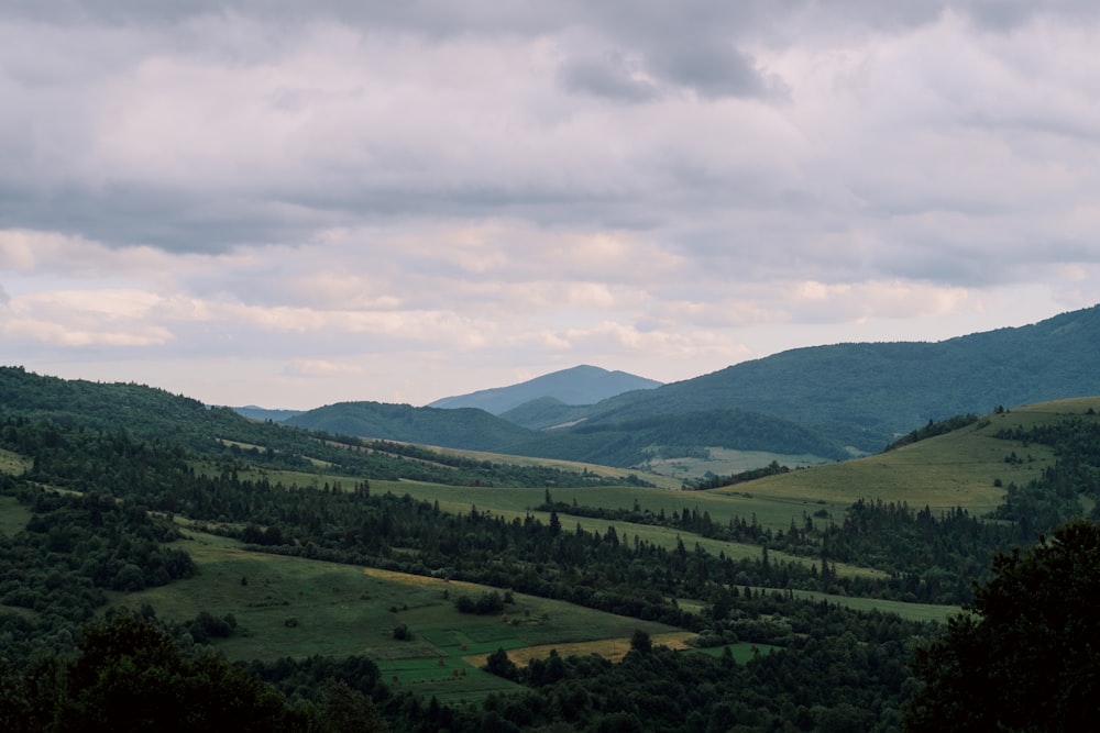 green plain surrounded by trees and mountain range at daytime