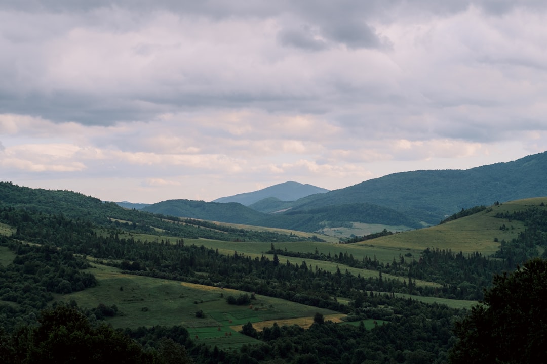 green plain surrounded by trees and mountain range at daytime