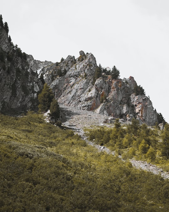 mountain range surrounded with grass in Pierre Avoi Switzerland