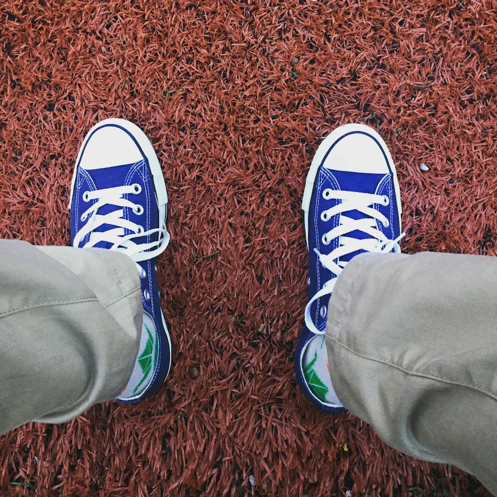 person wearing blue-and-white low-top sneakers