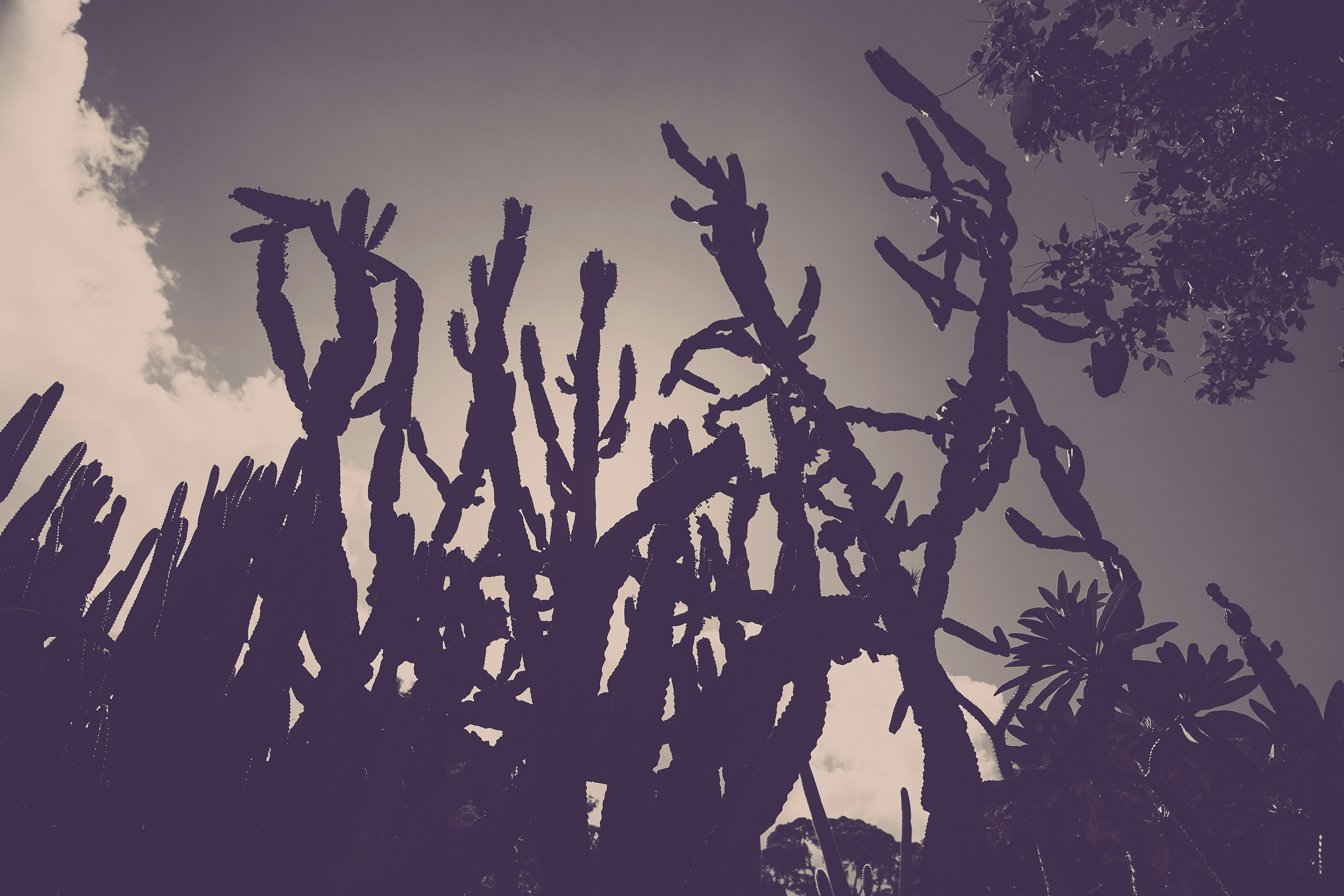 Photo by apsprudente