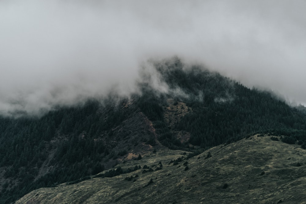 Photographie aérienne de montagne