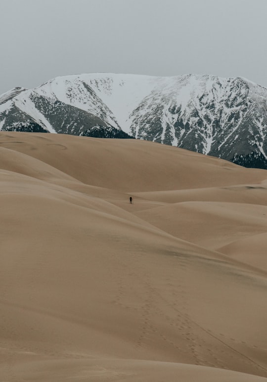 man standing on dessert in Great Sand Dunes National Park and Preserve United States