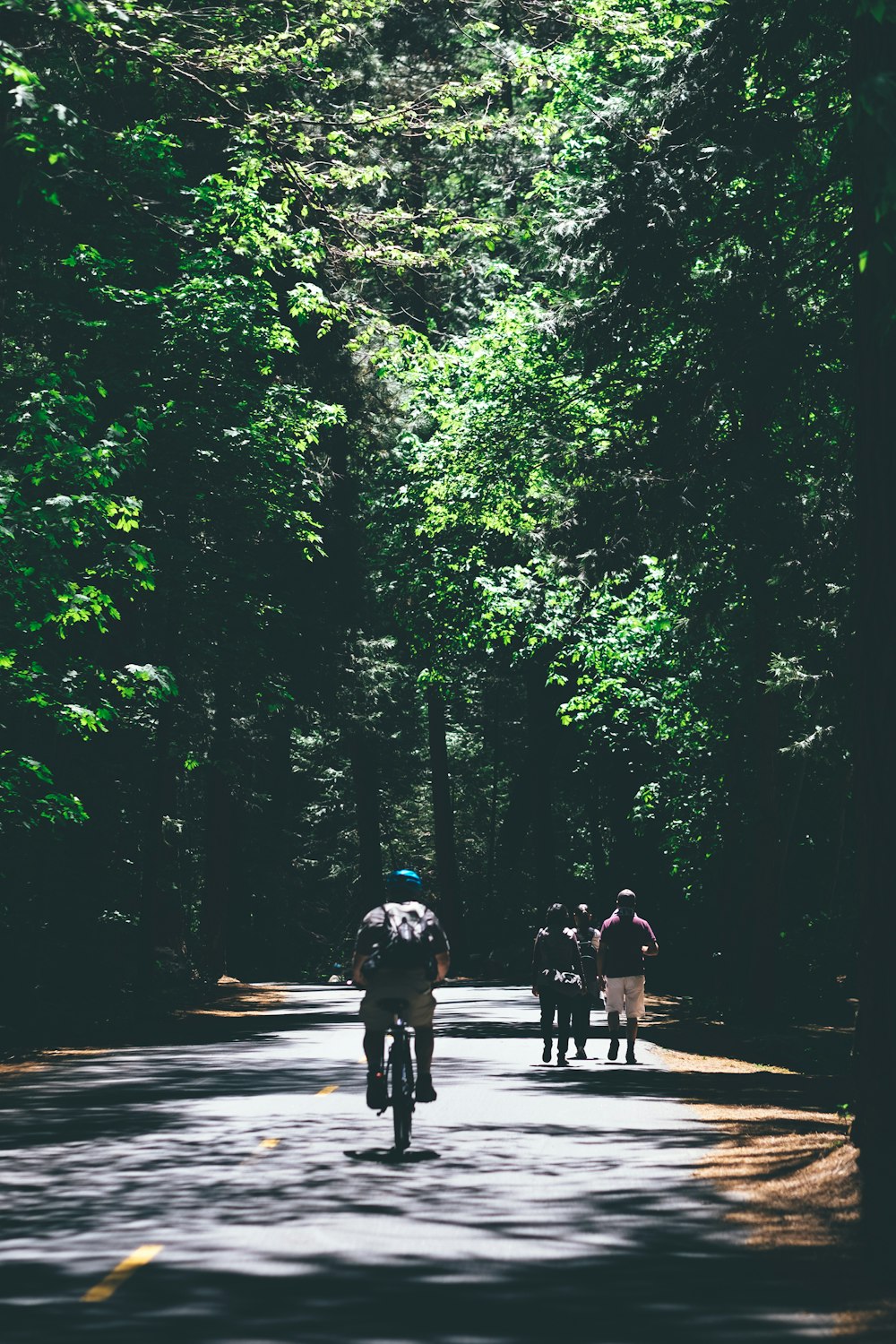 person riding bicycle between trees