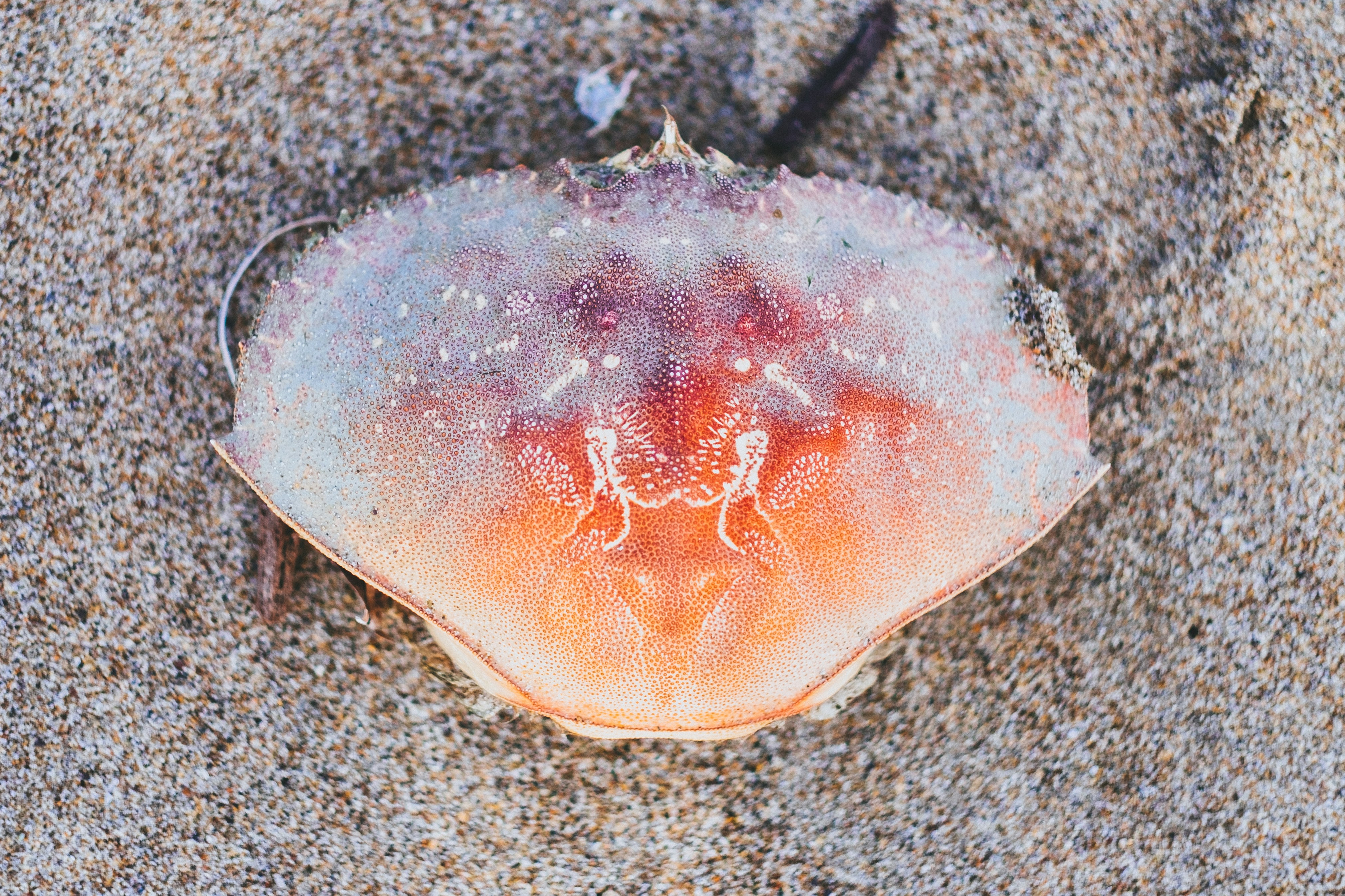 Aplikasi ‘Guessing Games\u0027 untuk Meningkatkan Prestasi Siswa dalam Speaking Bagi Siswa SD Kelas 2 Image