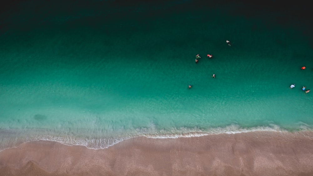 Veduta aerea della riva del mare