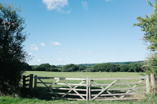 landscape photo of gray wooden gate during daytime in Wales United Kingdom