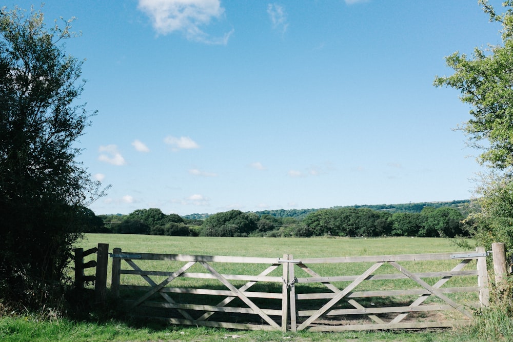 landscape photo of gray wooden gate during daytime