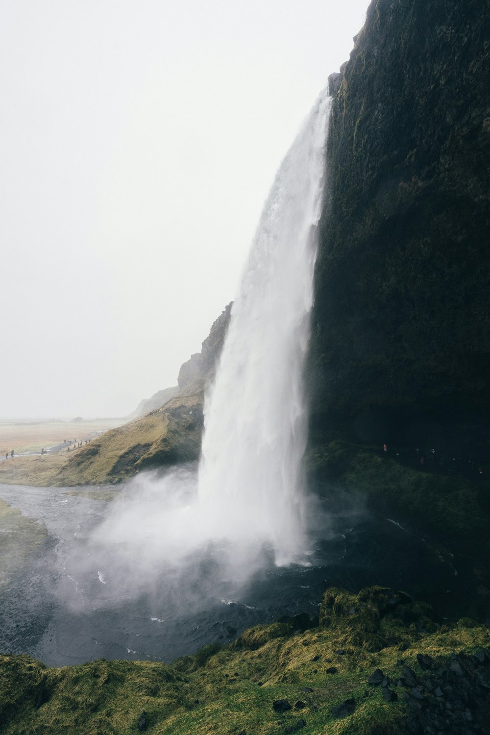 waterfalls surrounded by green plants