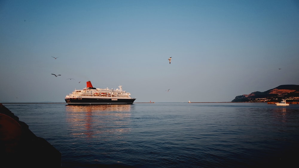 Crucero blanco y negro en el cuerpo de agua