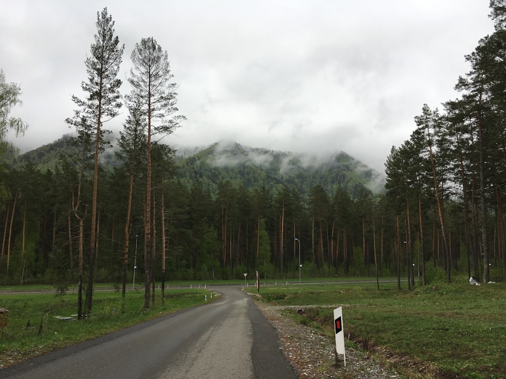 asphalt road towards mountains