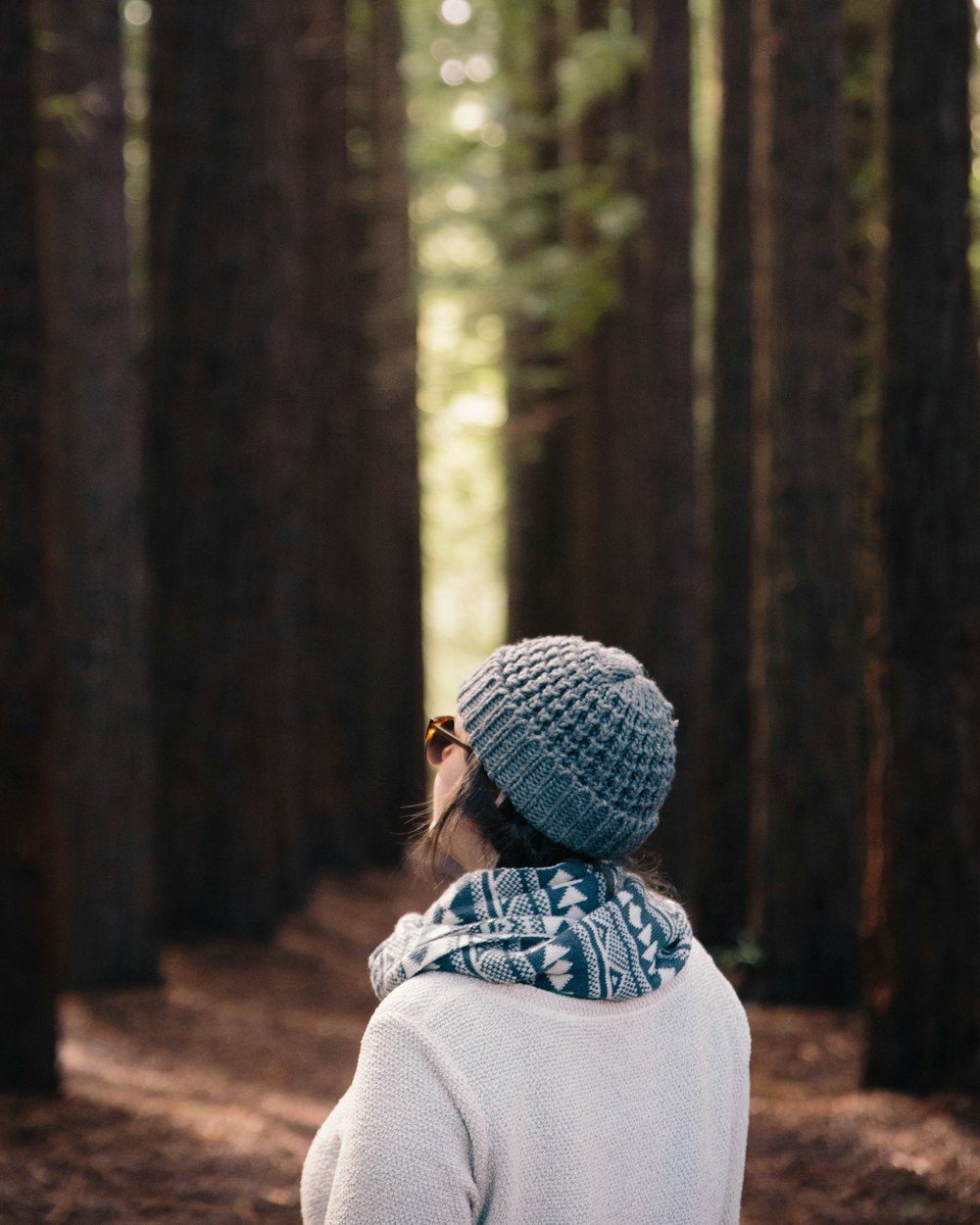 depth of field photography of back view of person standing on woods