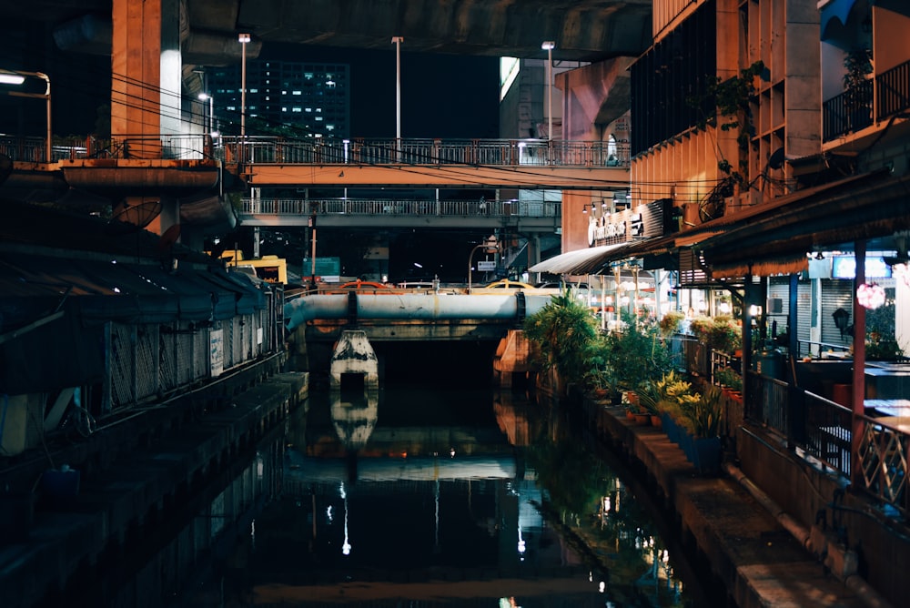 landscape photography of body of water near bridge