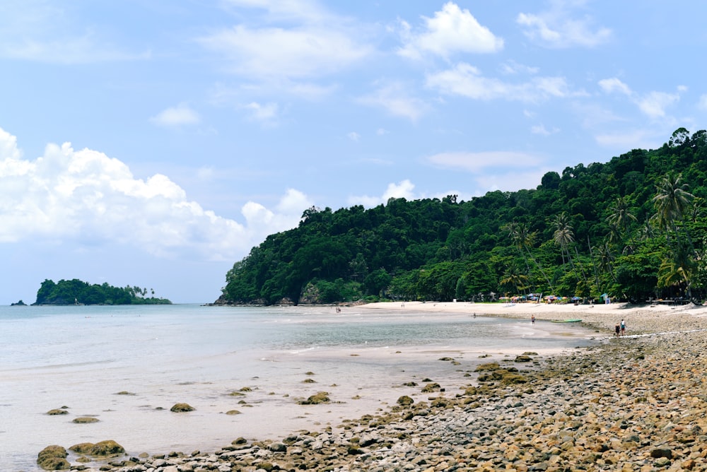 photography of seashore during daytime