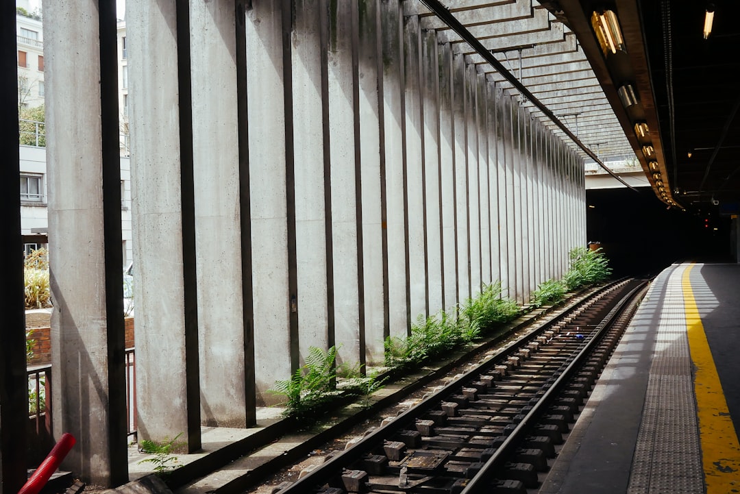 ¿Cuánto me cobra un albañil por metro cuadrado?