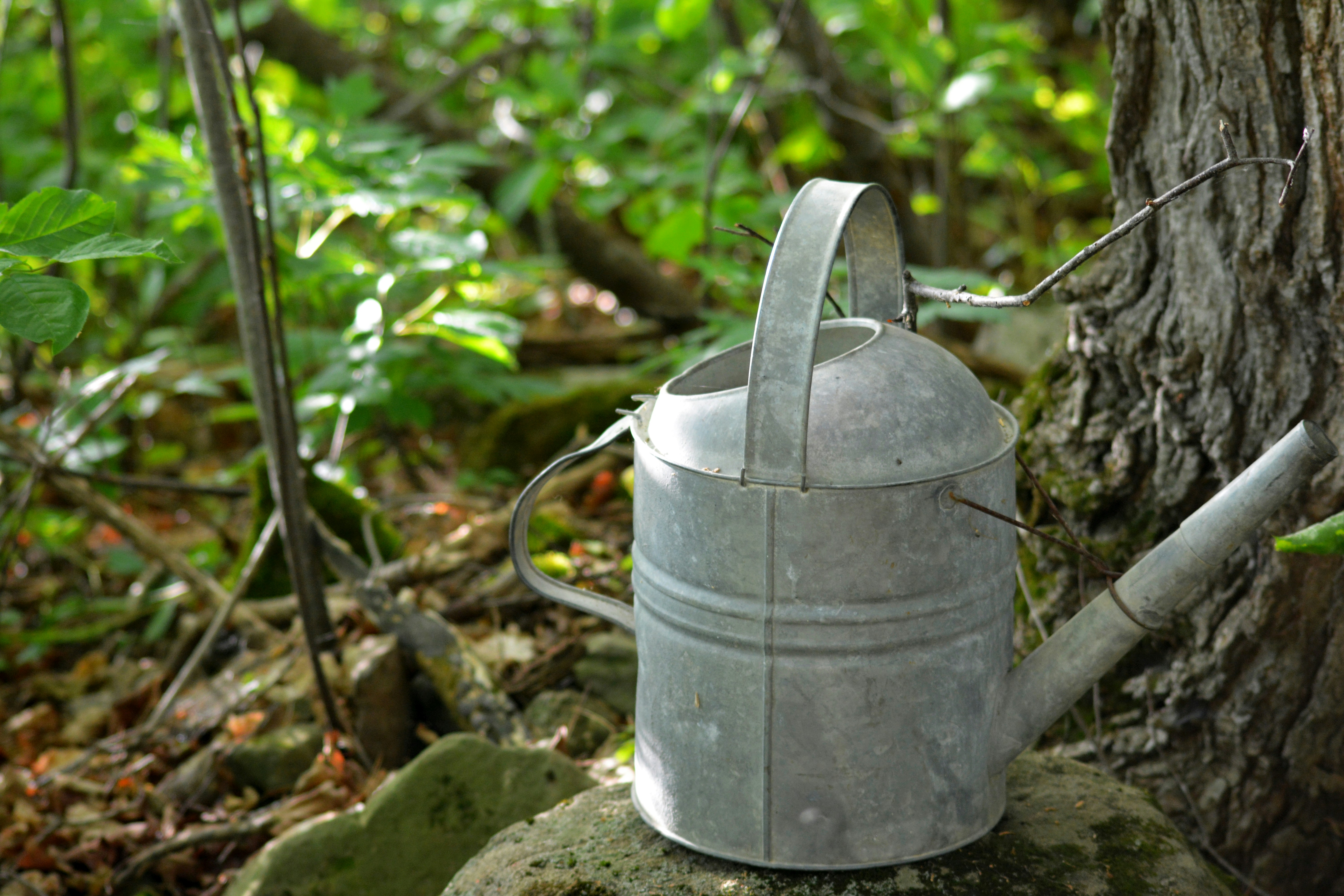 photo 1500118111307 699dd67f2ddb?ixlib=rb 4.0