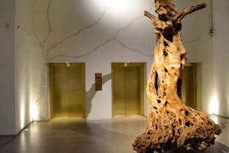Two gold-colored elevator doors are situated in a modern, well-lit hallway with textured white walls. A large, intricate wooden sculpture resembling a tree trunk stands prominently in the foreground. The floor is polished and reflective, contributing to the contemporary aesthetic of the space.
