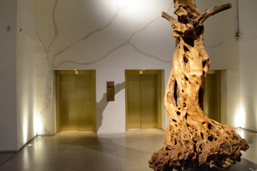 Two gold-colored elevator doors are situated in a modern, well-lit hallway with textured white walls. A large, intricate wooden sculpture resembling a tree trunk stands prominently in the foreground. The floor is polished and reflective, contributing to the contemporary aesthetic of the space.