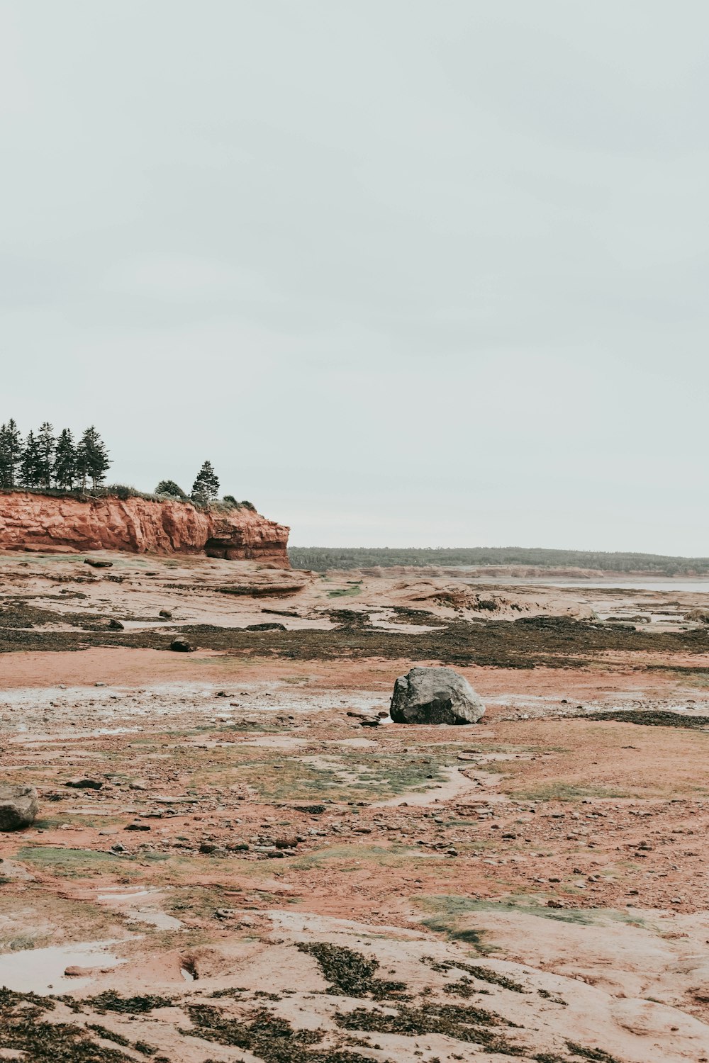 gray rock on rough terrain with view of trees on cliff under gray clouds