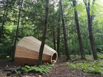 A unique, wooden structure with a geometric design is nestled in a dense forest. Surrounded by tall trees, the structure features an open entrance with a cozy interior. Sunlight filters through the leaves, creating a dappled pattern on the forest floor.