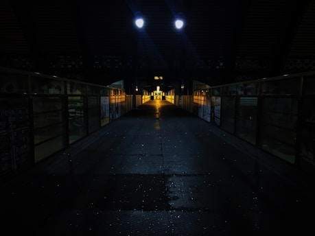 A dimly lit pedestrian walkway with a metal floor surface leading towards a bright exit at the end. The path is flanked by glass panels with various posters and advertisements. Overhead, two bright lights cast a spotlight effect in an otherwise shadowy space.