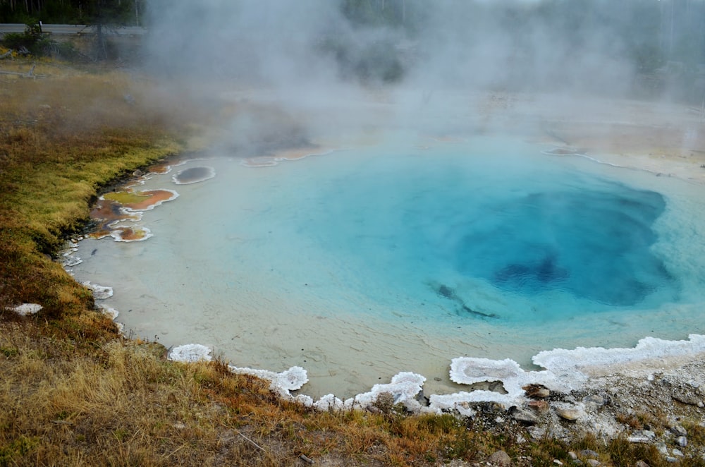 specchio d'acqua circondato da erba