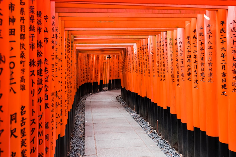 orange and black paper decors at daytime