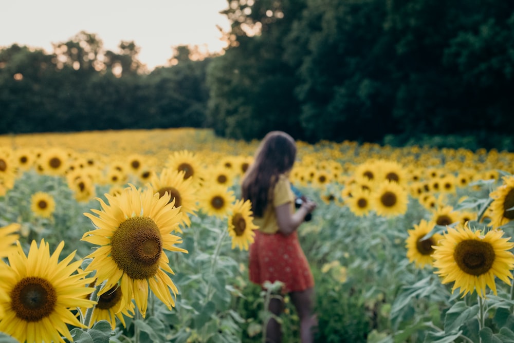 woman surrounded sunflowers