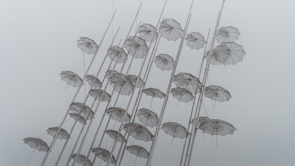 photo of white umbrellas under cloudy sky