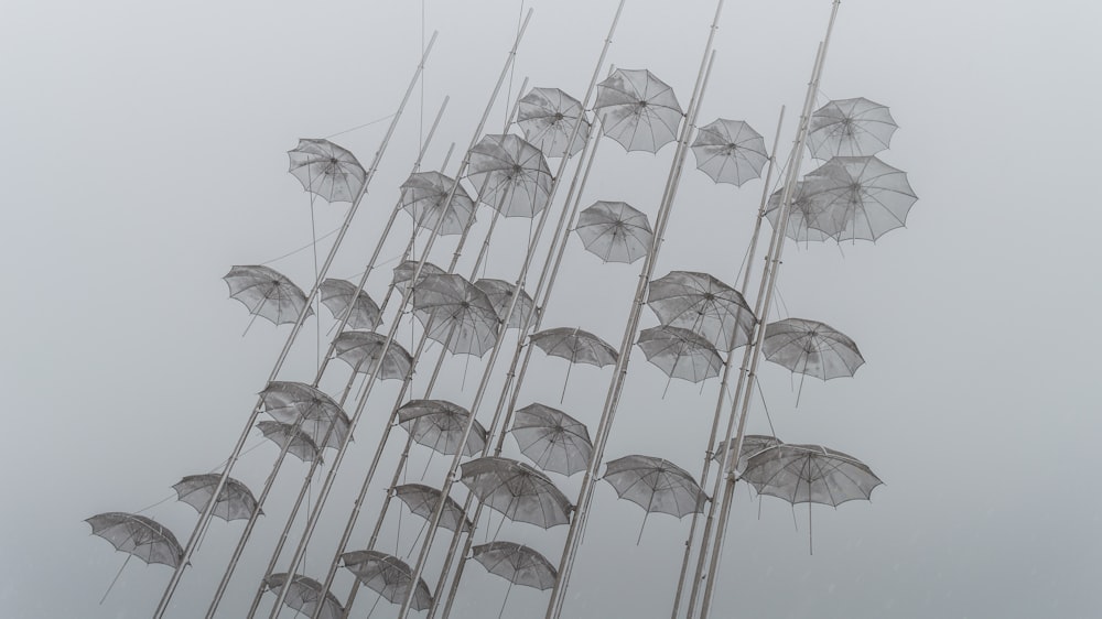 photo de parapluies blancs sous un ciel nuageux