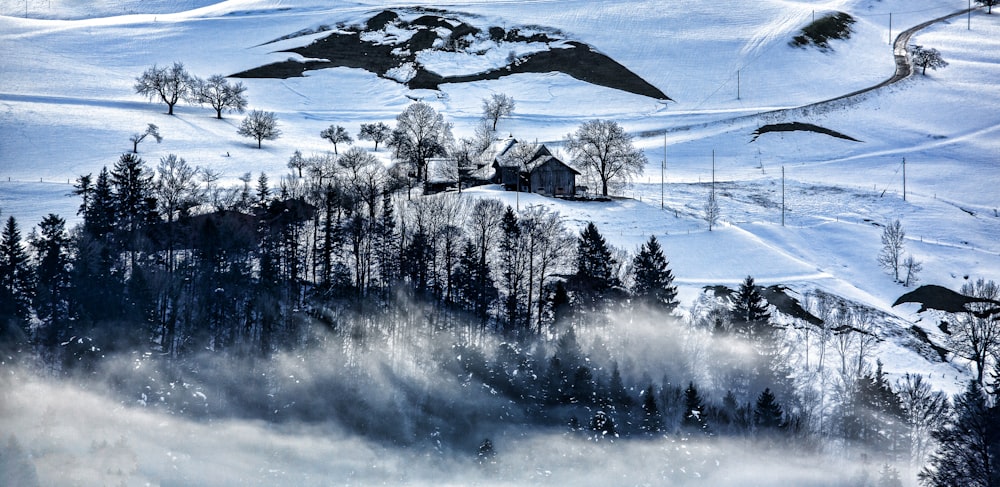 mountain with snow and fog