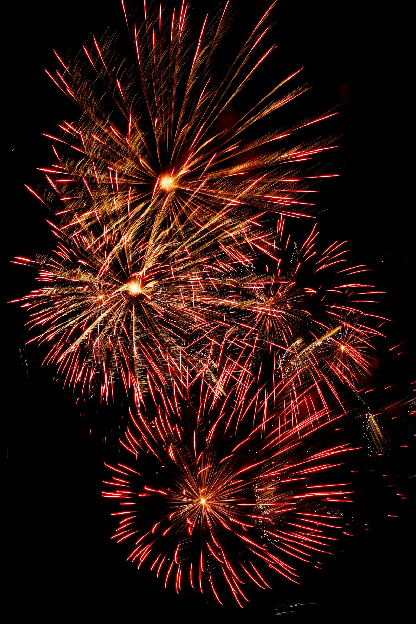 Looking back at 2011 in the Fraser Valley