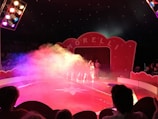 A vibrant circus setting with a stage and large red curtains. The word 'Morelli' is displayed prominently on an arch above the curtains. Colorful stage lights create a mist with hues of pink, purple, and yellow. People are sitting in the audience with silhouettes visible against the illuminated backdrop. Performers are standing in front of the curtains, partially obscured by the colorful haze.