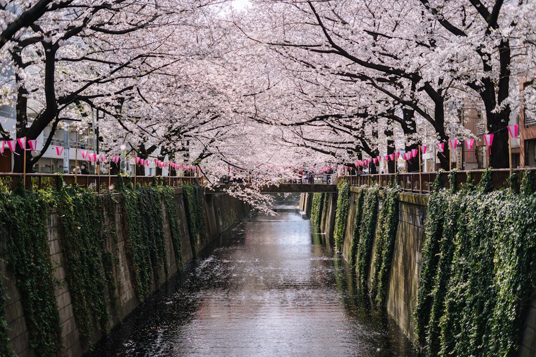 Waterway photo spot Meguro Saga