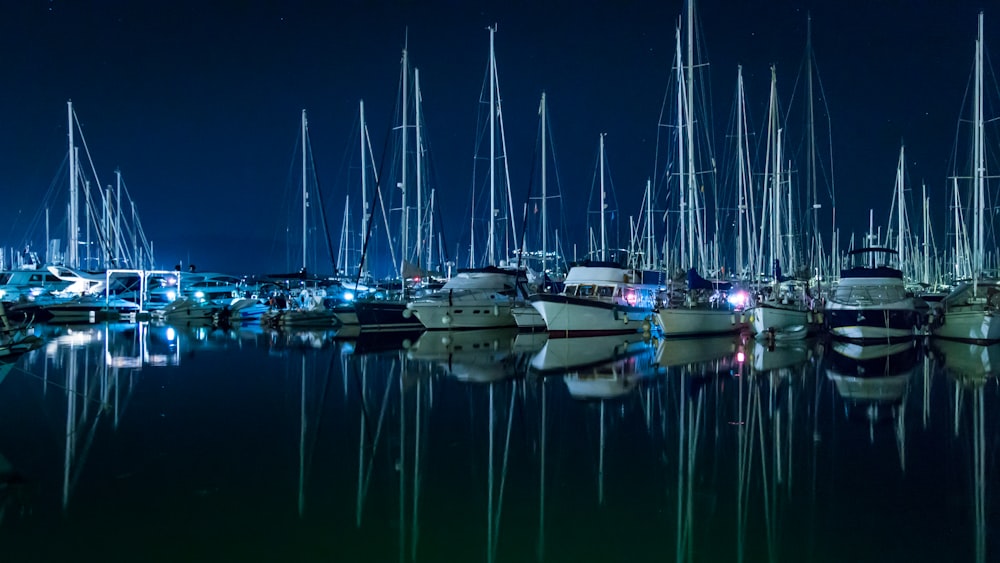 sailboats park on dock