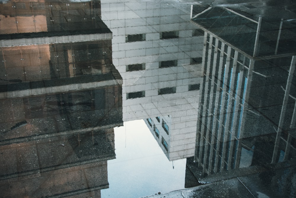 reflection of buildings in water on floor