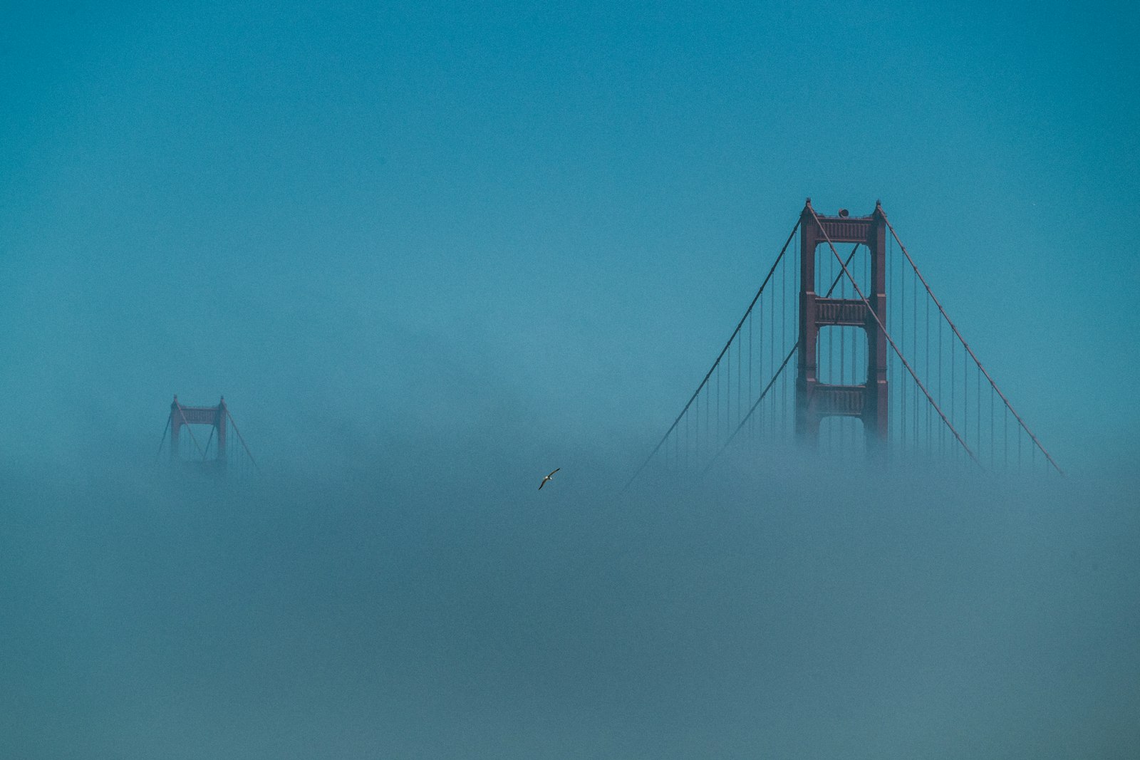 Canon EOS-1D X Mark II + Canon EF 70-200mm F2.8L IS II USM sample photo. Bridge covered with fog photography