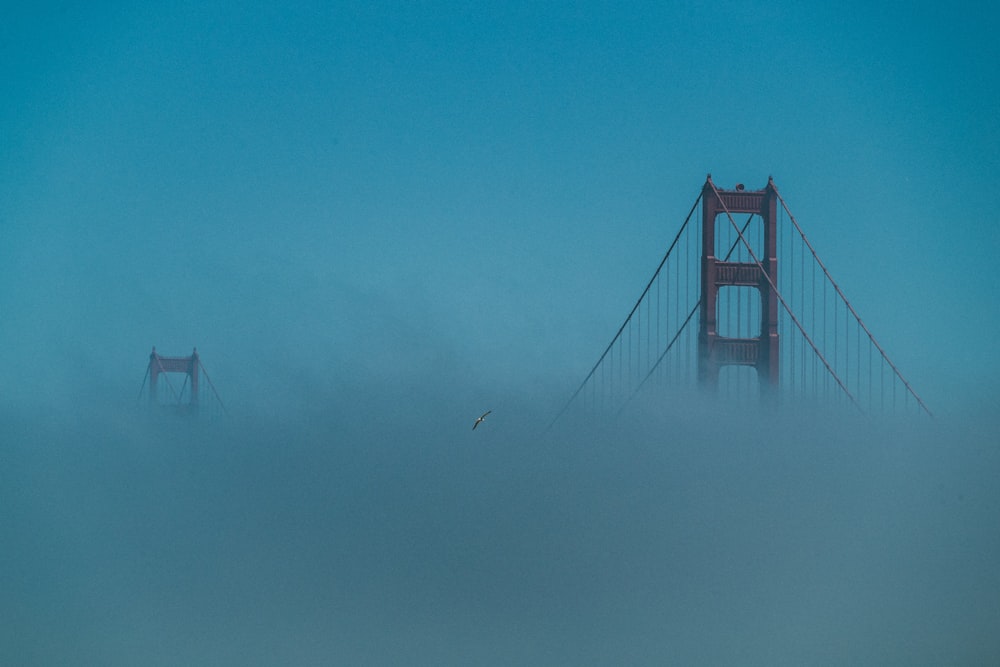 Brücke mit Nebel bedeckt